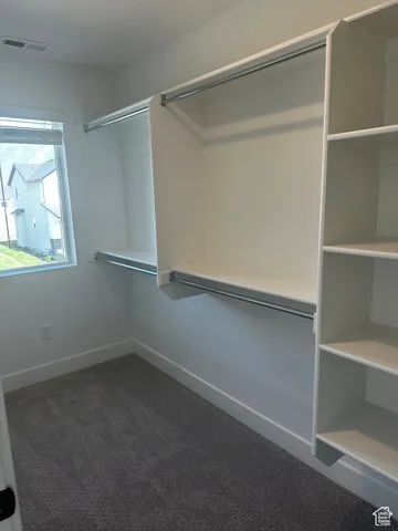 Walk in closet with carpet floors