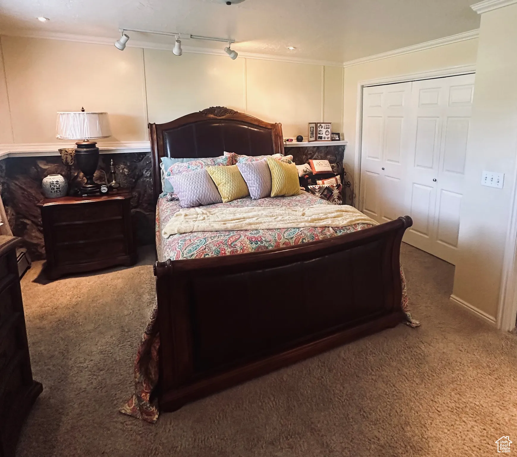 Carpeted bedroom with ornamental molding, a closet, and track lighting