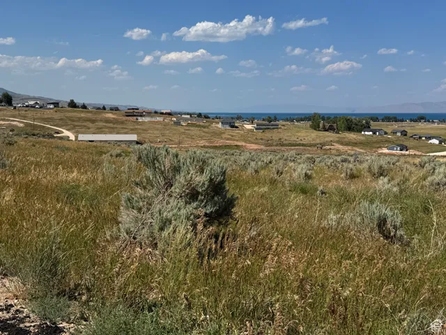View of local wilderness with rural landscape