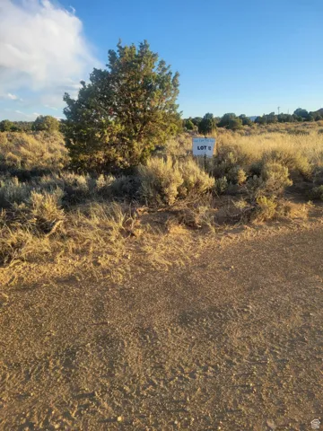 View of undeveloped land
