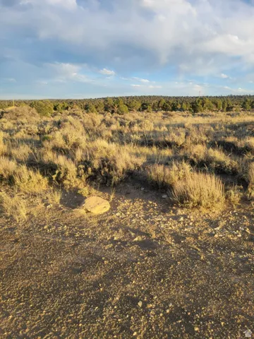 View of nature