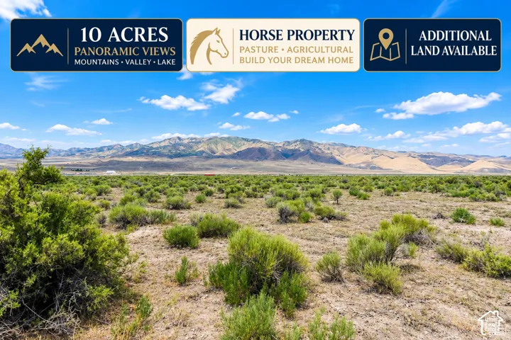 Ten-acre parcel featuring native vegetation, flat topography, and mountainous terrain
