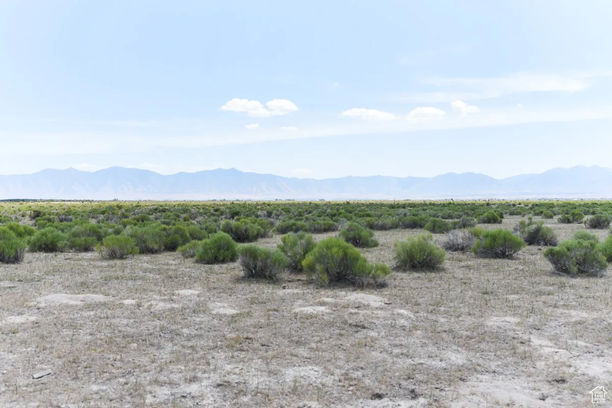 View of mountain background