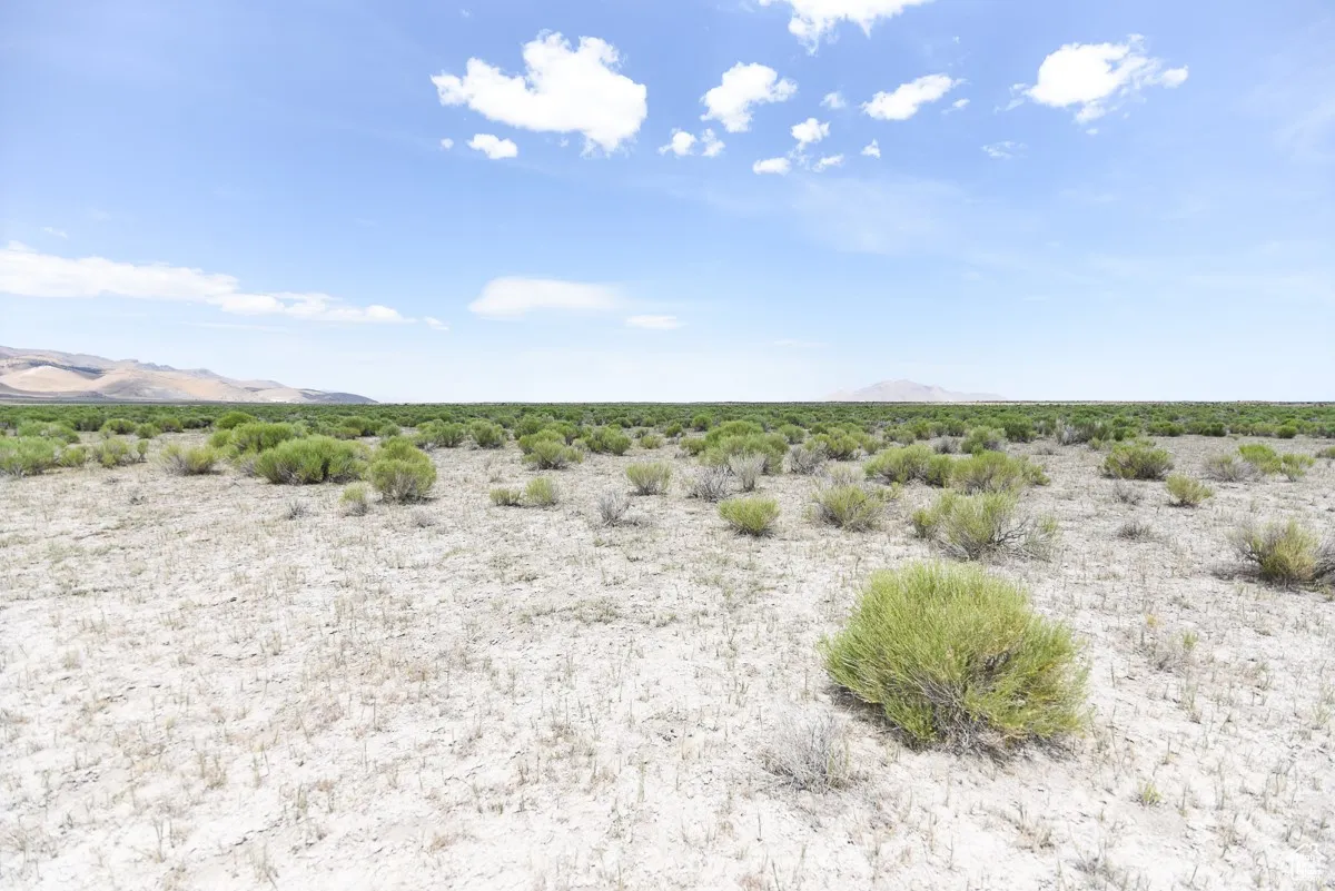 View of undeveloped land with a mountain backdrop