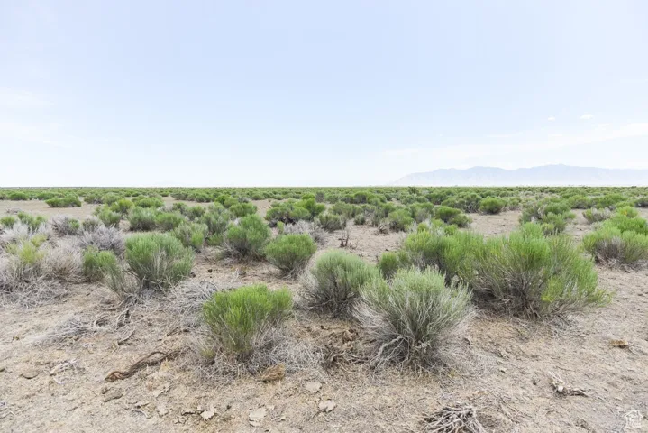 View of mountain background