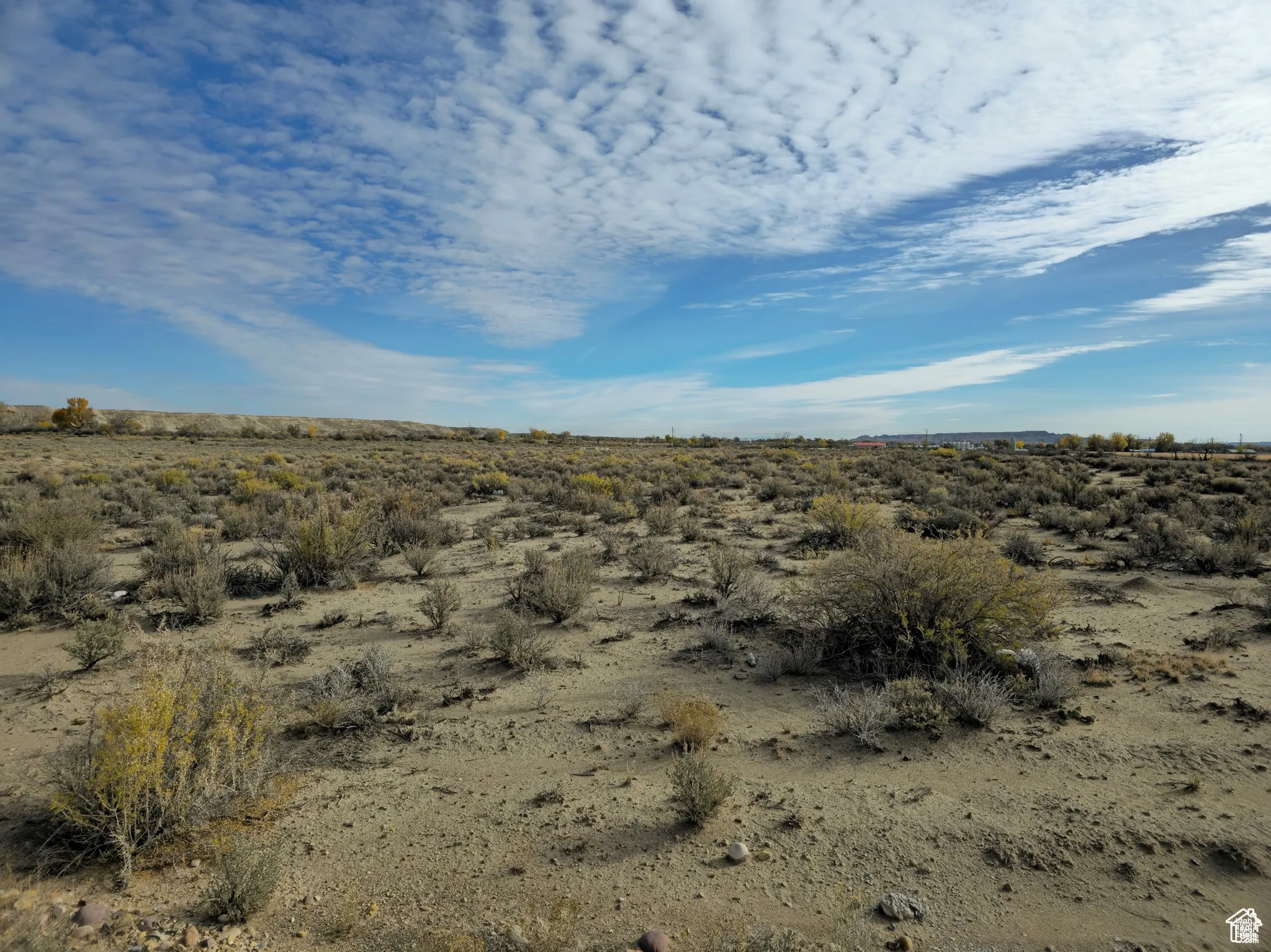 View of undeveloped land