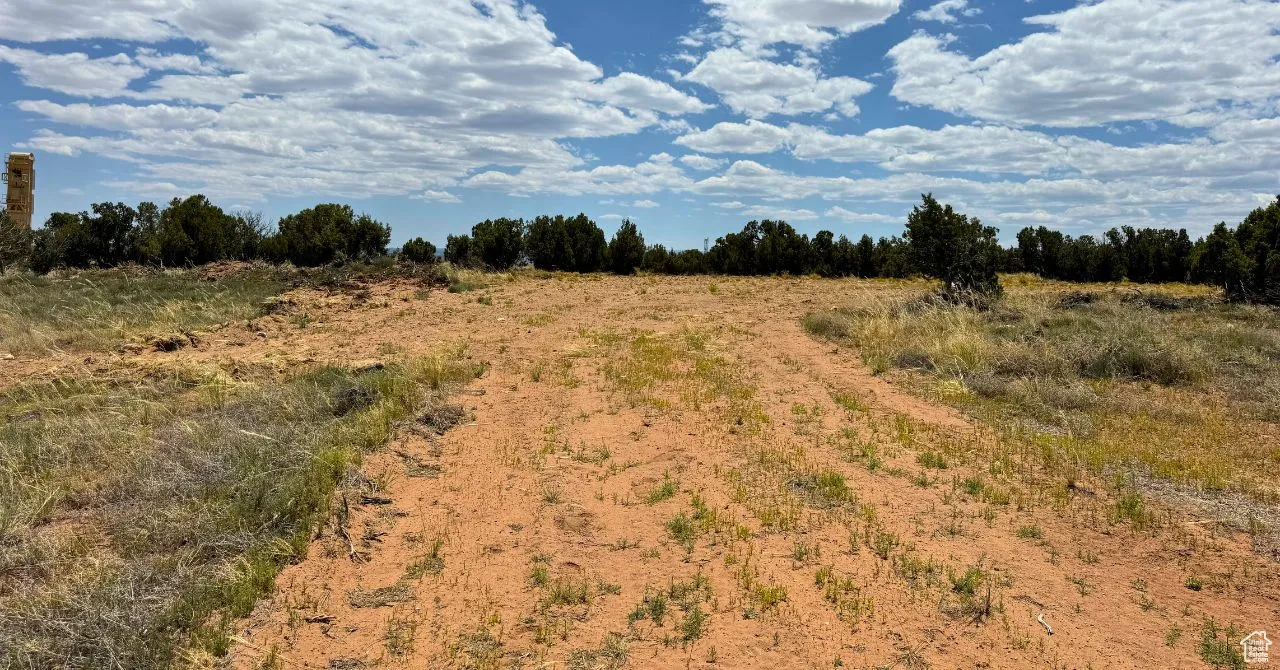 View of local wilderness featuring rural landscape
