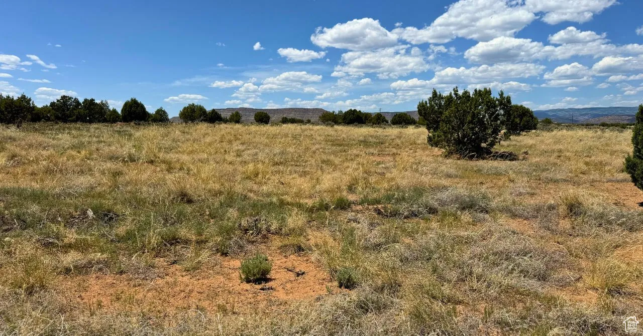 View of undeveloped land featuring rural landscape