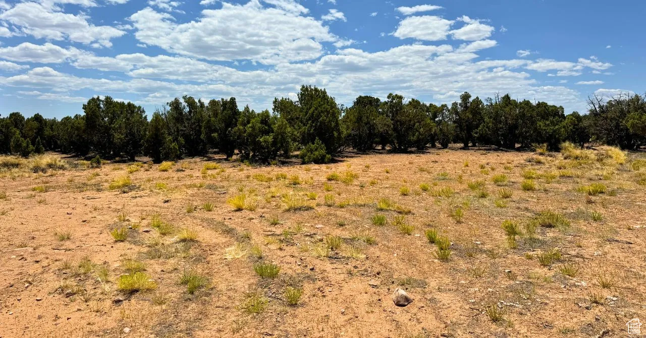 View of local wilderness featuring rural landscape