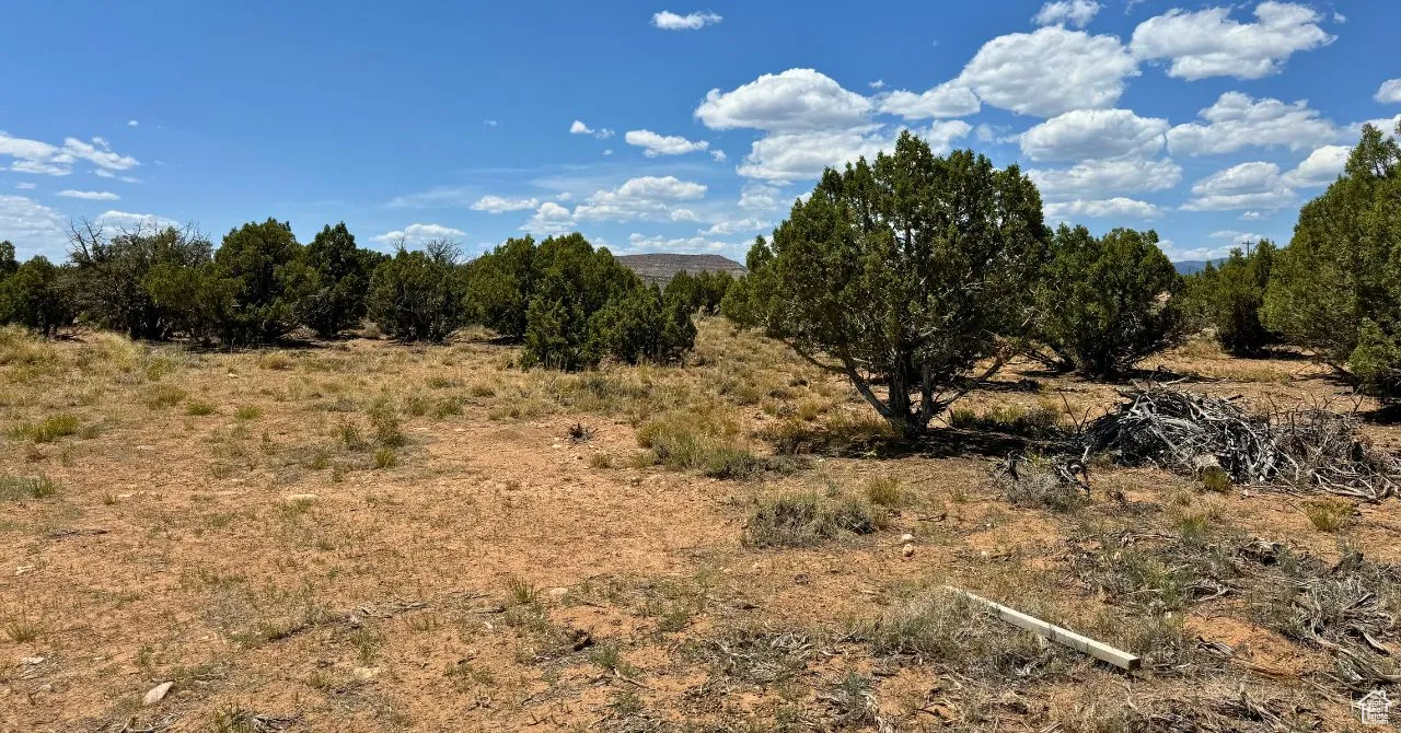 View of undeveloped land