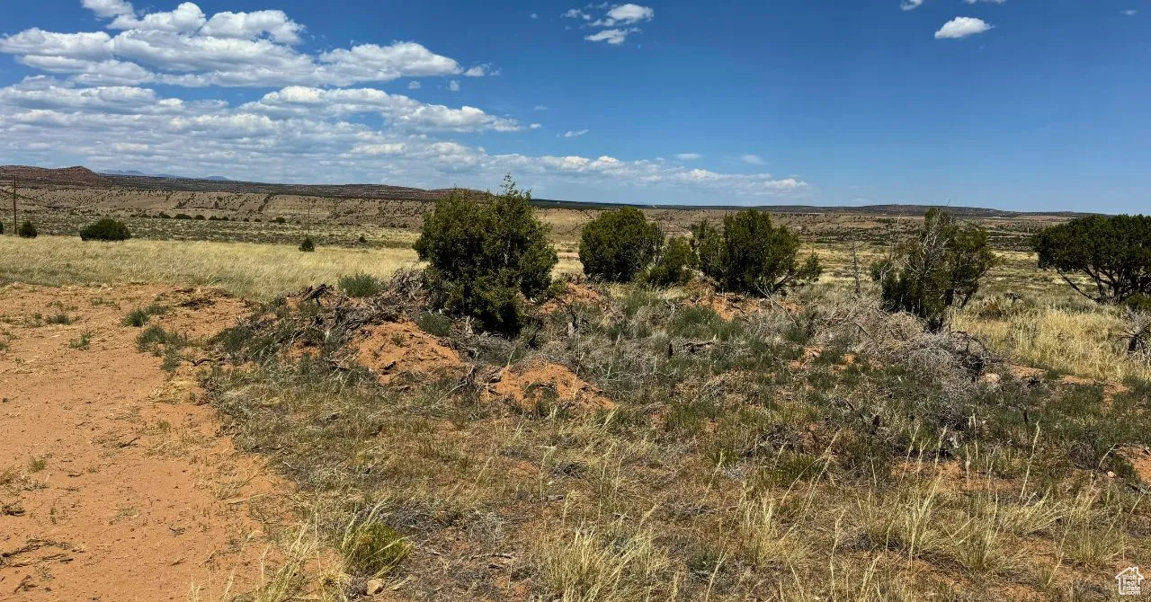 View of nature with rural landscape