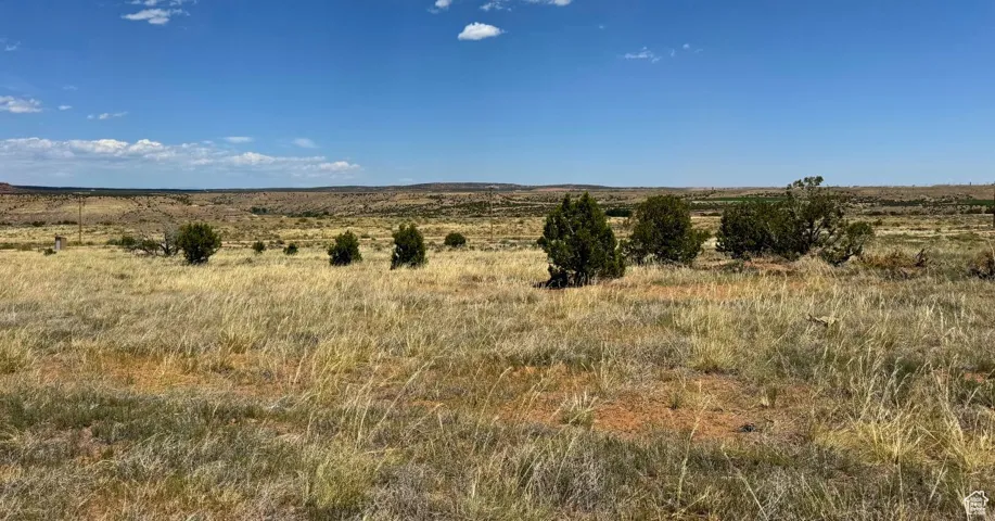 View of mountain background with rural landscape
