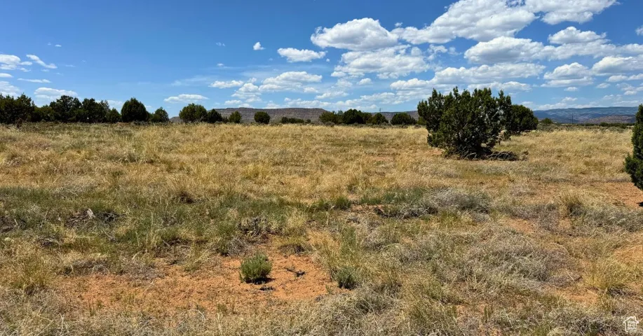 View of undeveloped land featuring rural landscape