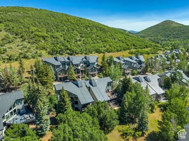 Aerial view of residential area with a forest and a mountain backdrop