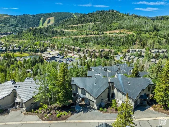 Aerial perspective of suburban area featuring a heavily wooded area and mountains