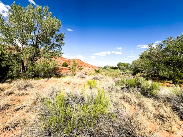 View of land