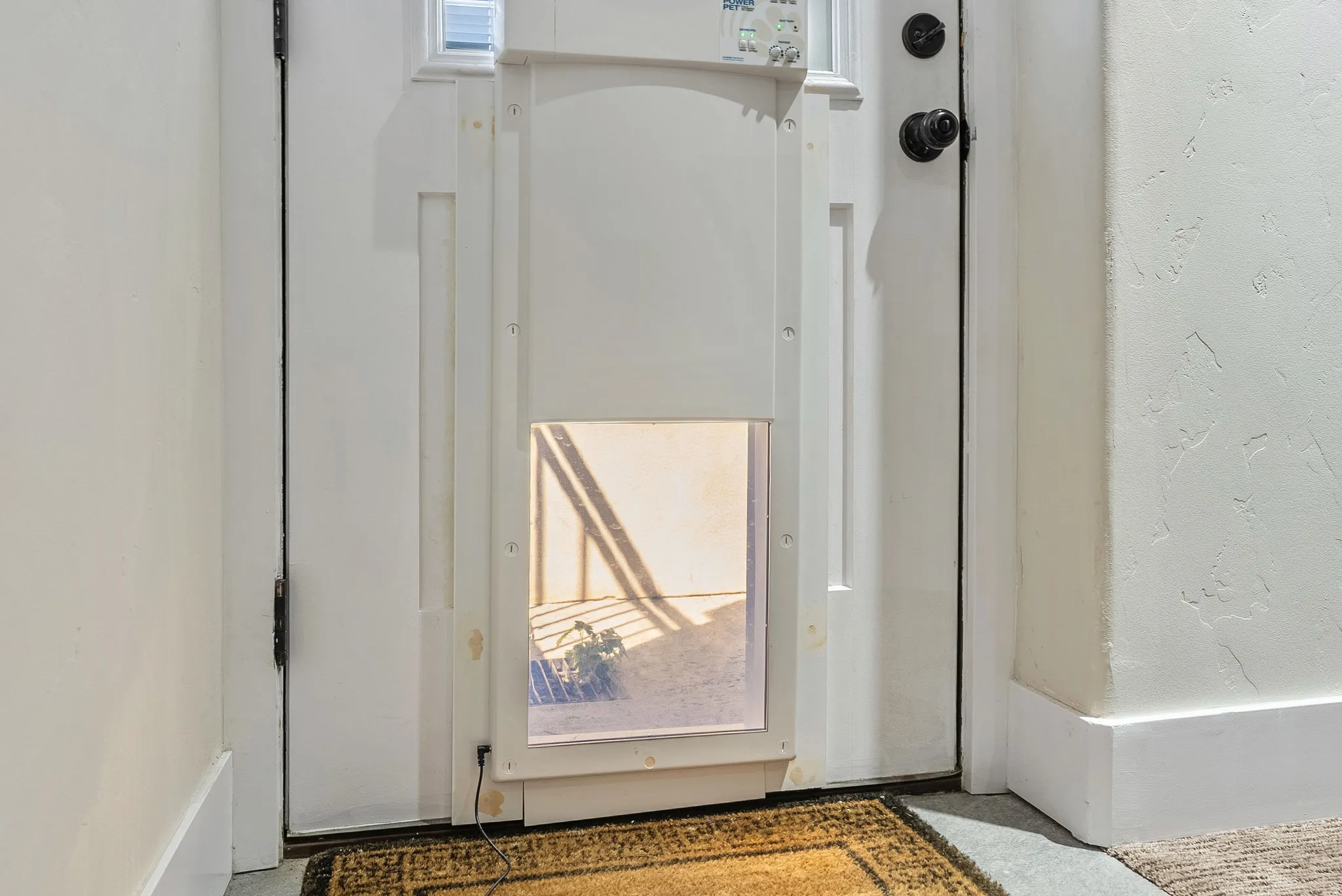 White paneled door featuring a built-in pet door with a lower clear panel