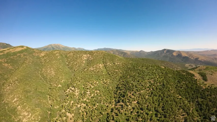View to the North