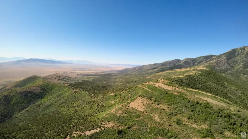 View to the South
