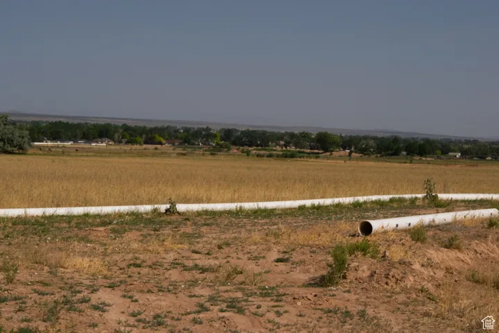 View of yard featuring a view of rural / pastoral area