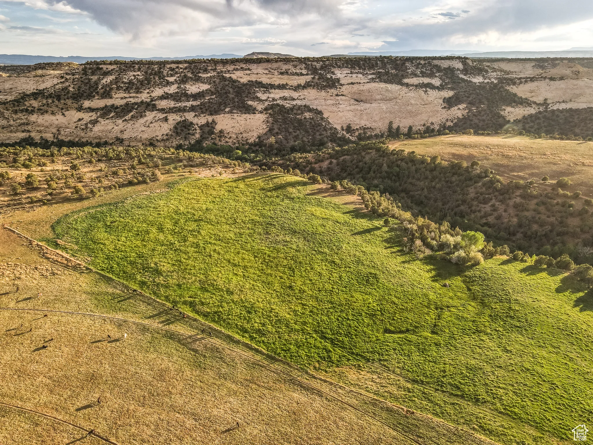 Aerial view of property and surrounding area