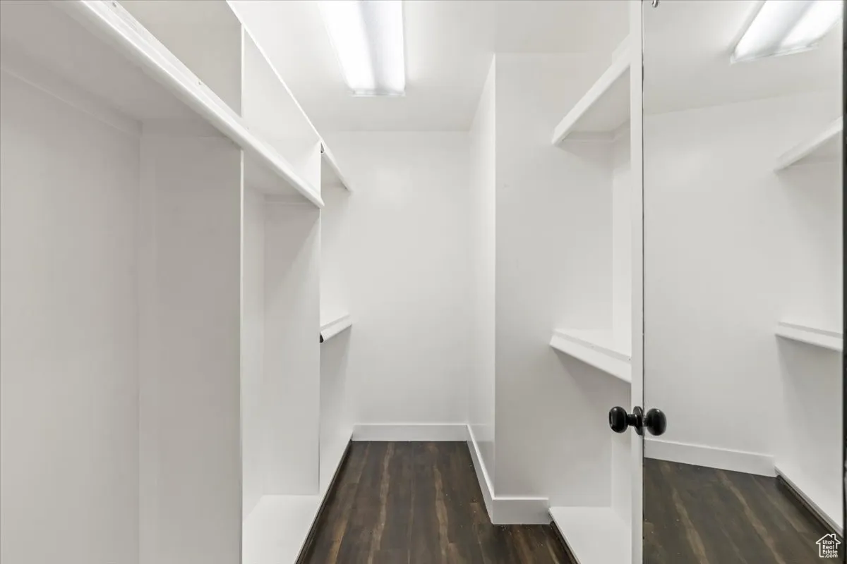 Spacious closet featuring dark wood finished floors