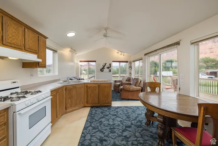 9 Chamisa Ln, Castle Valley, Utah 84532