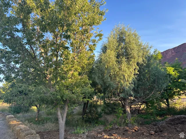9 Chamisa Ln, Castle Valley, Utah 84532