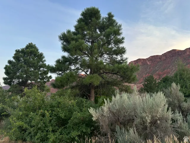 9 Chamisa Ln, Castle Valley, Utah 84532
