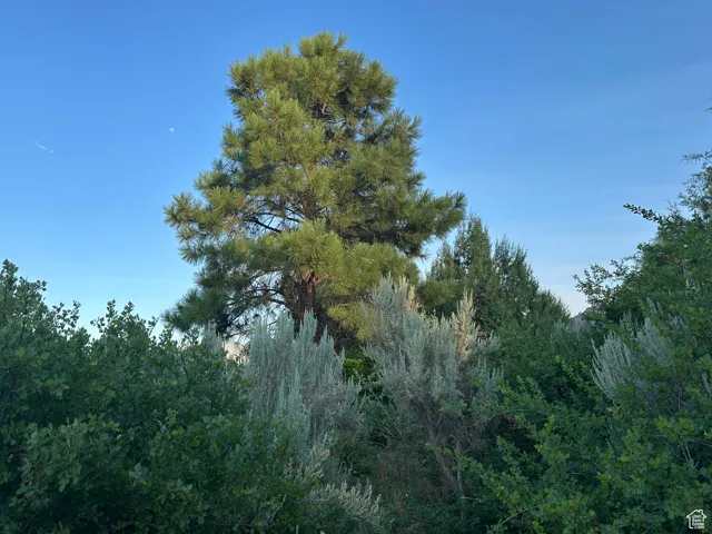9 Chamisa Ln, Castle Valley, Utah 84532