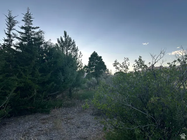 9 Chamisa Ln, Castle Valley, Utah 84532