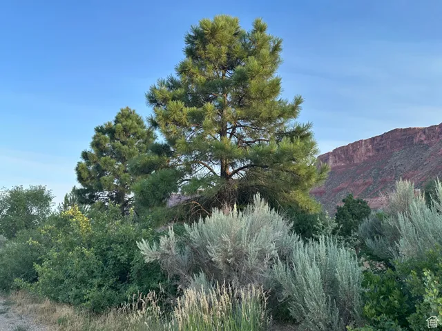 9 Chamisa Ln, Castle Valley, Utah 84532