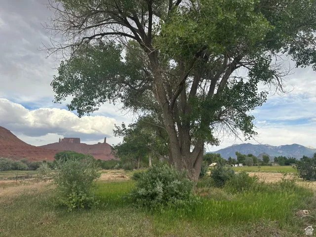 9 Chamisa Ln, Castle Valley, Utah 84532