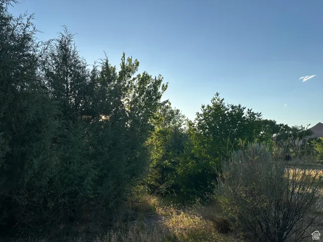 9 Chamisa Ln, Castle Valley, Utah 84532