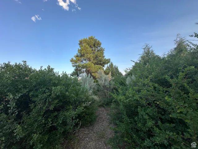 9 Chamisa Ln, Castle Valley, Utah 84532