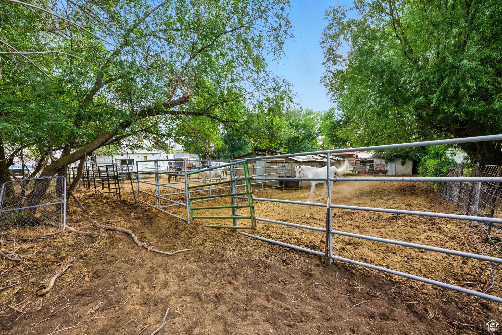 Horse Property