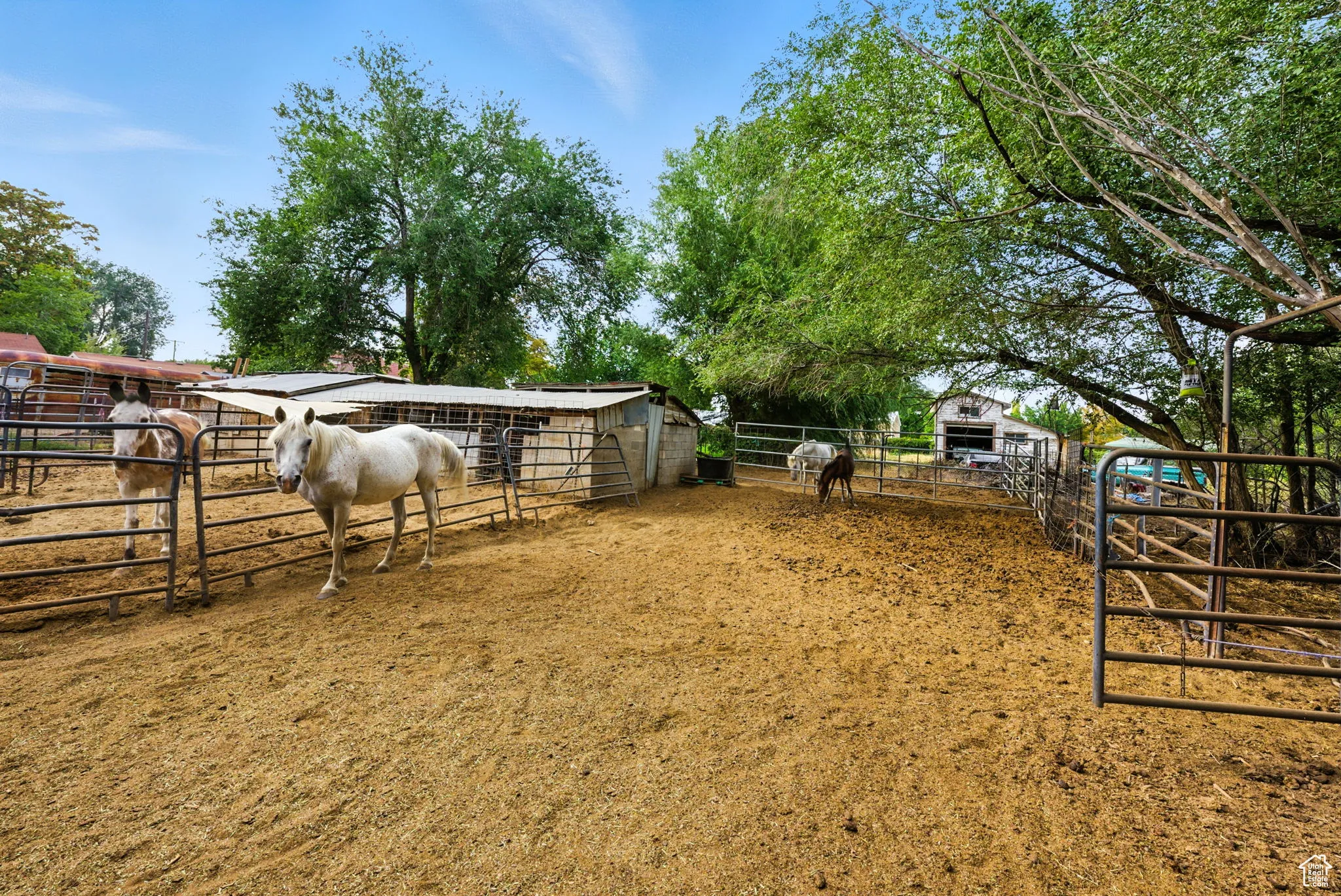 Horse Property