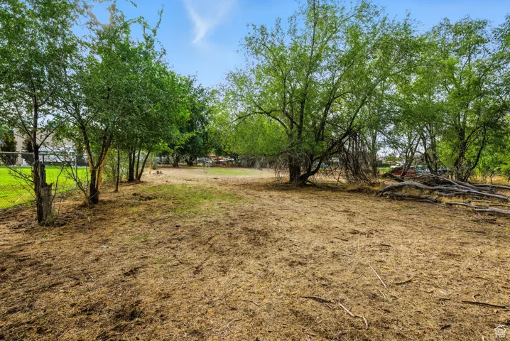 Horse Property