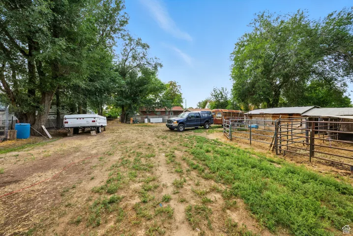 Horse Property driveway area to the back of the property