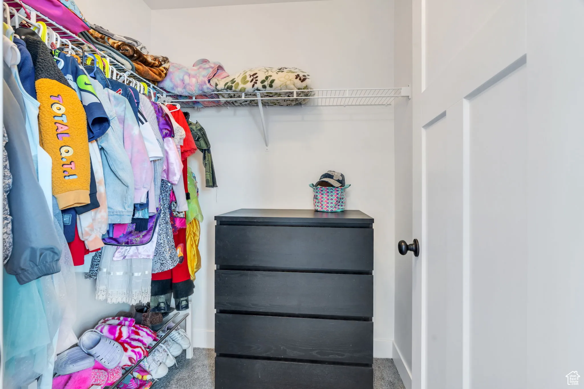 Spacious closet featuring carpet
