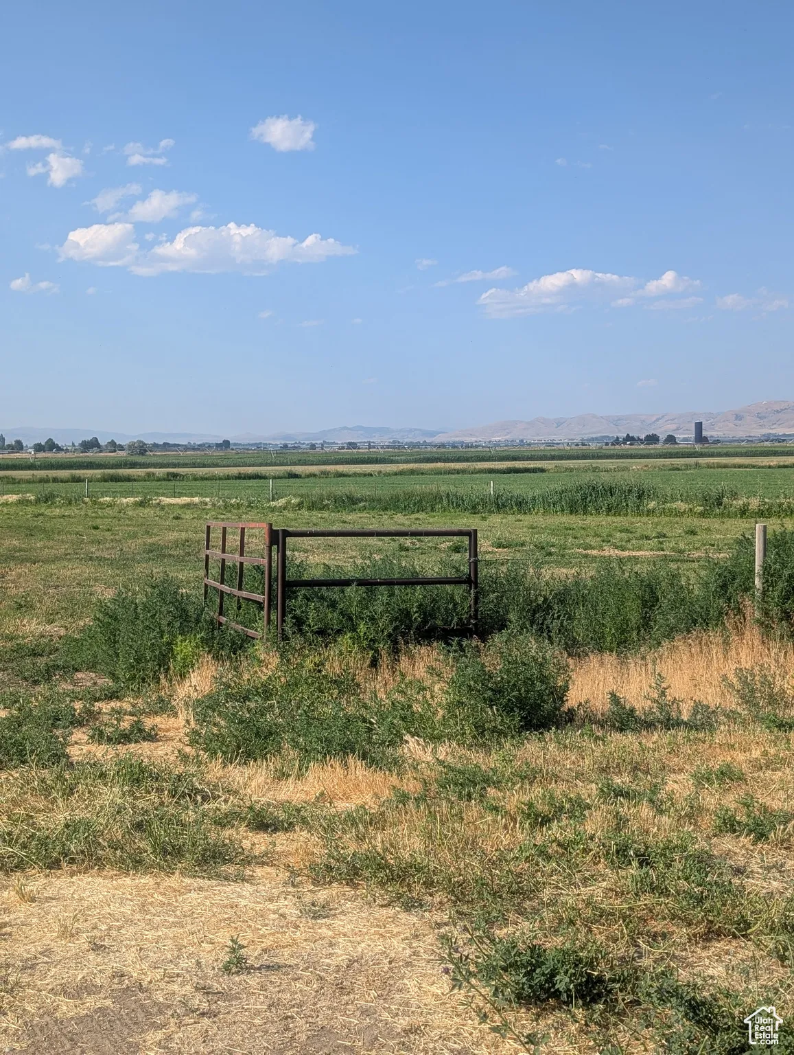 looking north by the fenced area of property
