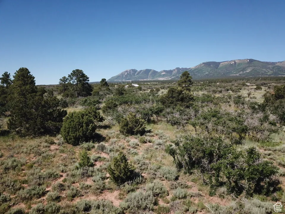 View of mountain background