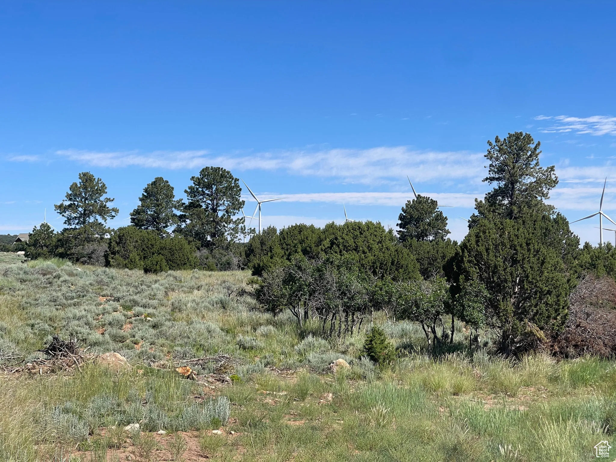 View of undeveloped land