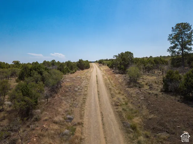 North Creek Rd, Monticello, Utah 84535