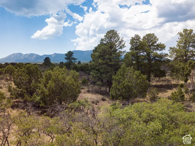 View of mountain backdrop
