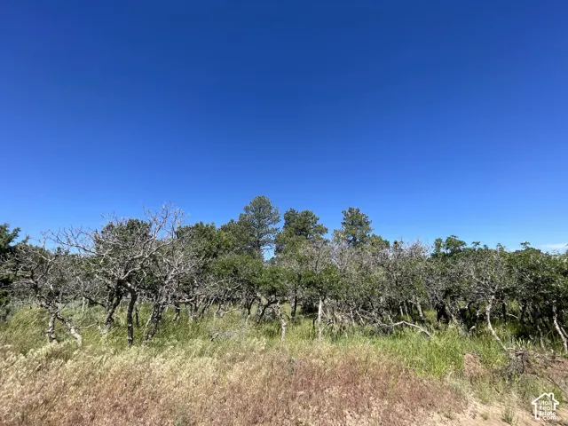 View of nature