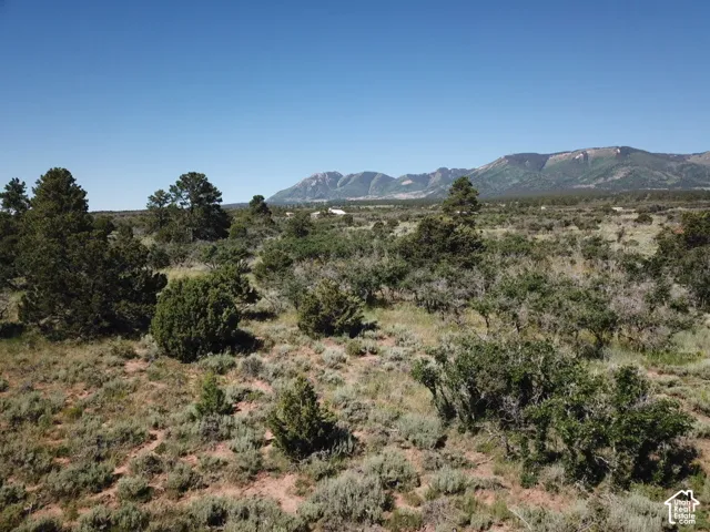 View of mountain background