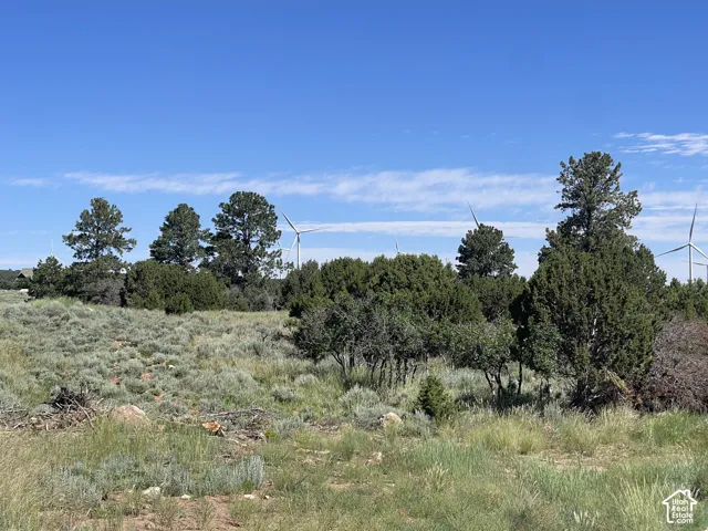 View of undeveloped land