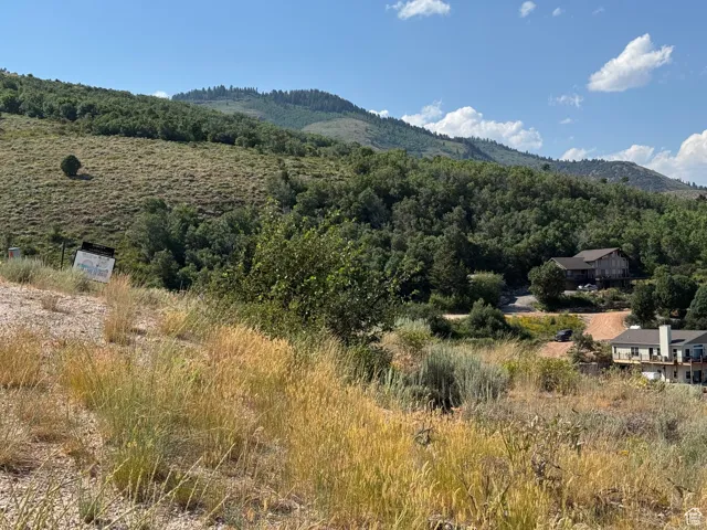 Mountain view with a forest