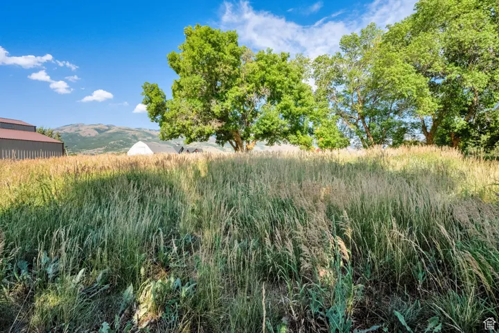 View of local wilderness with mountains
